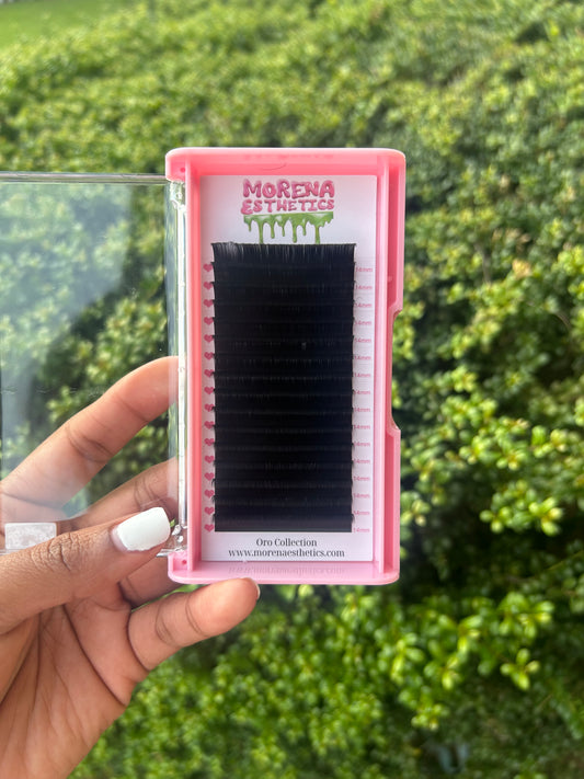 Lash Trays