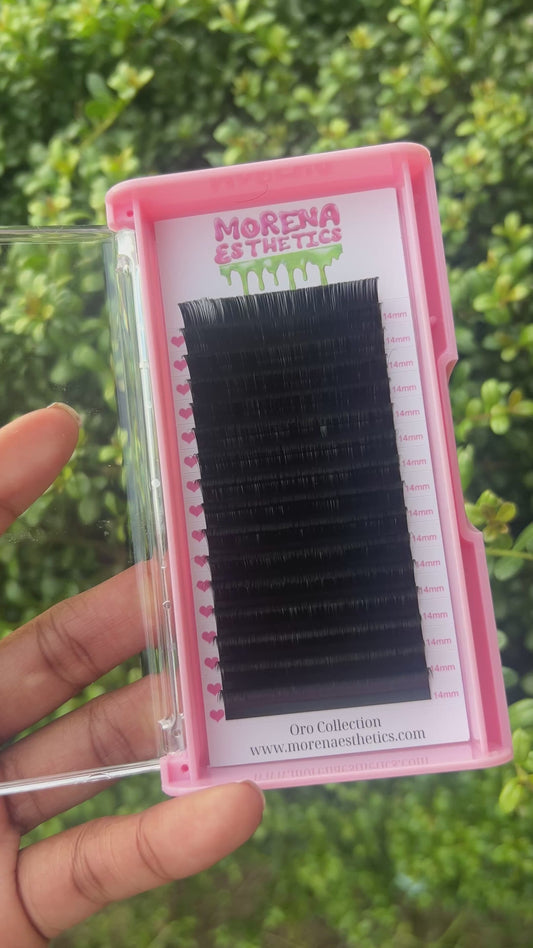 Lash Trays